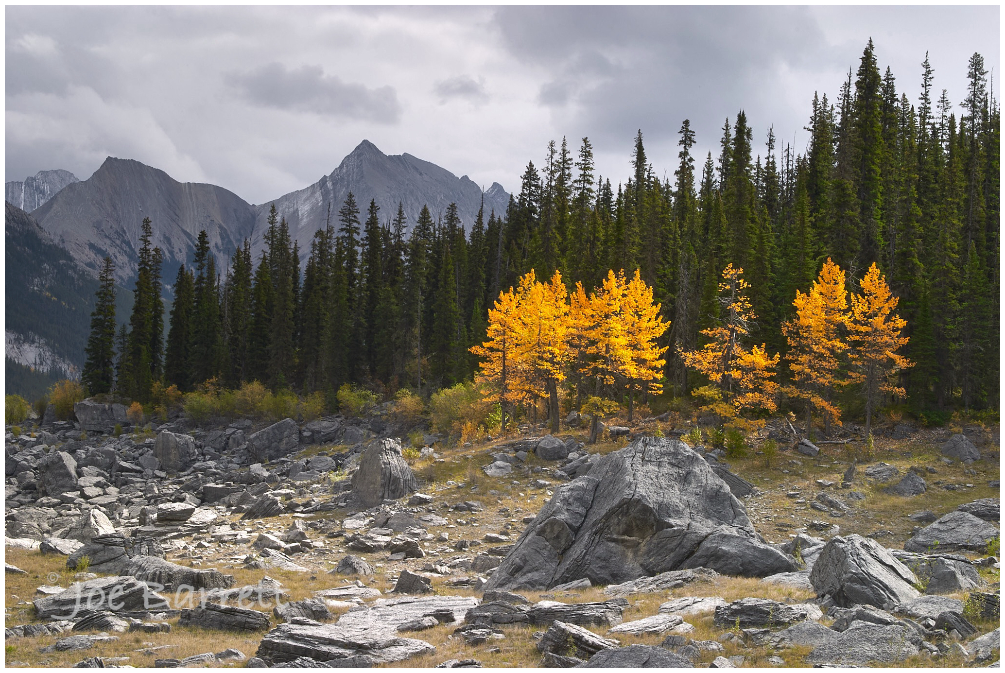  Aspens, Medicine Lake, Jasper. 