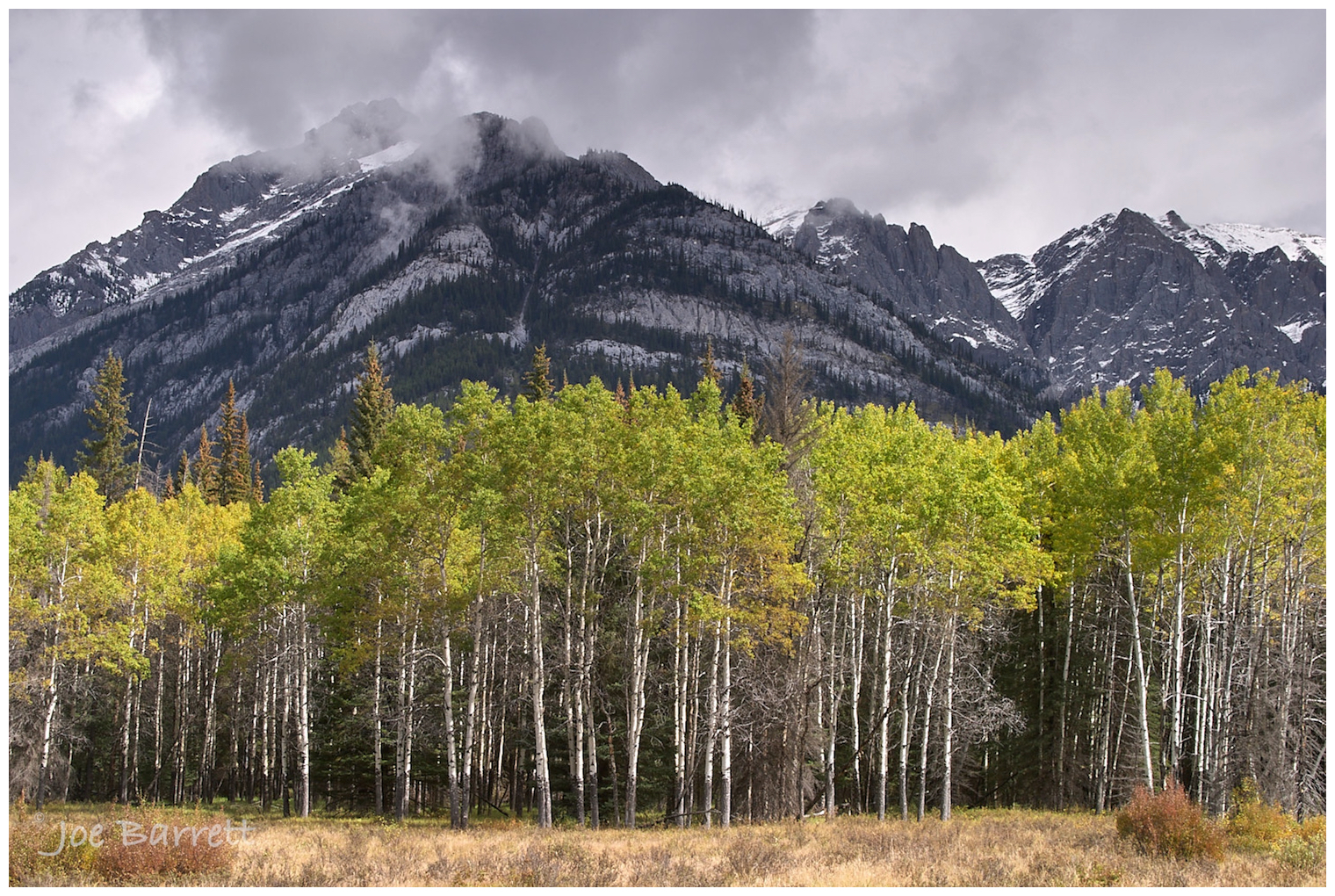  Hillsdale Meadows, Banff 