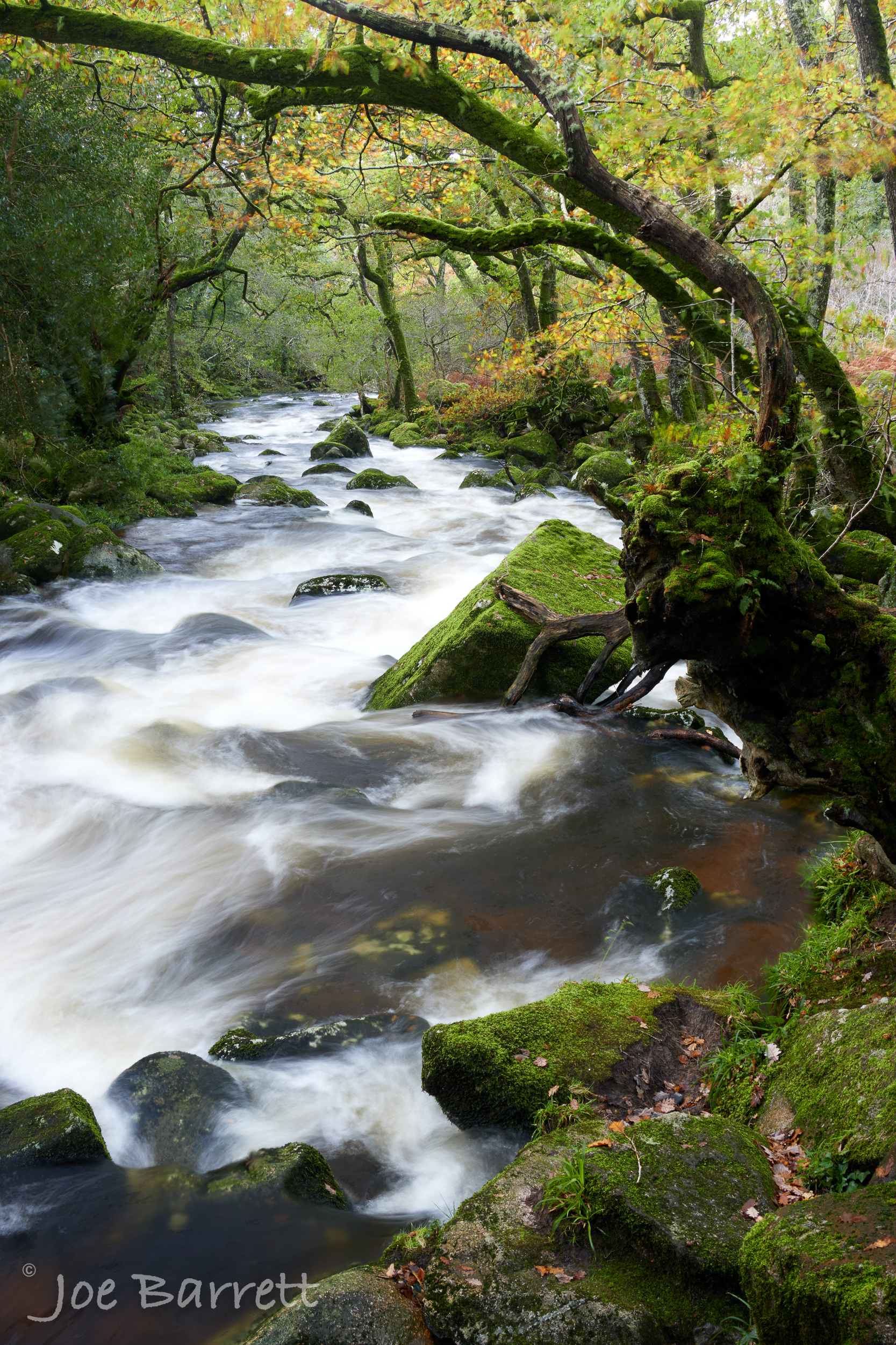  River Plym, Cadover Bridge, Dartmoor 