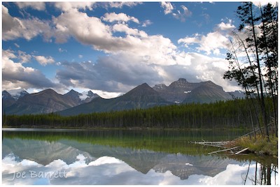Herbert Lake
