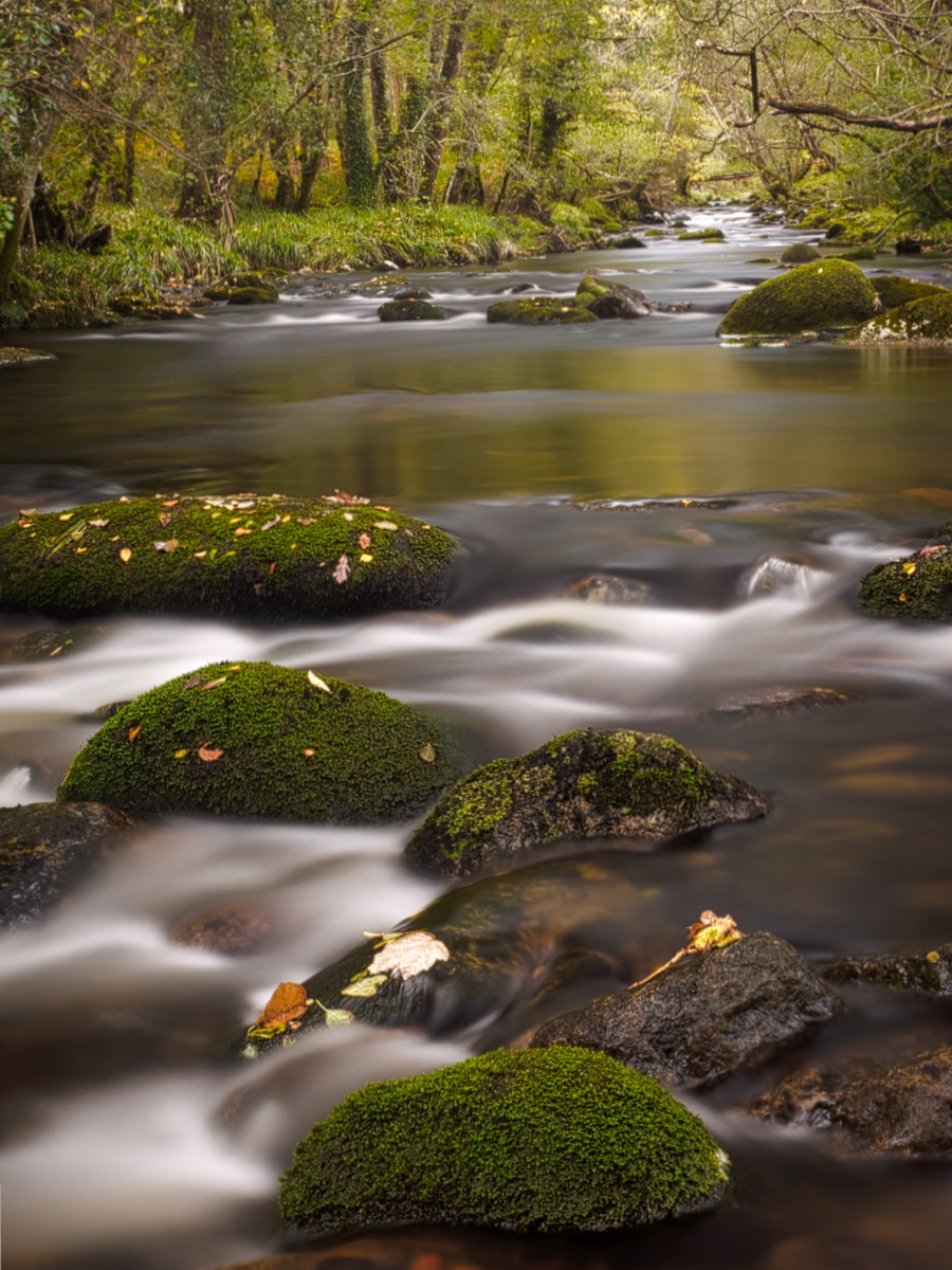 Collybrooke Peter Tavy