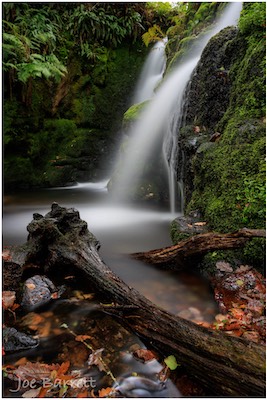 Vennford Brook