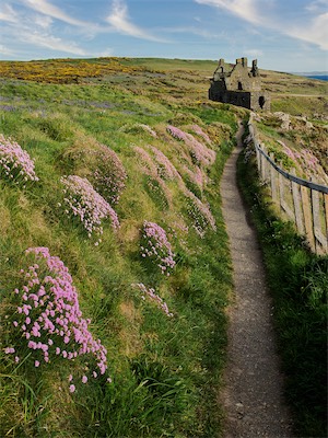 Dunsky Castle